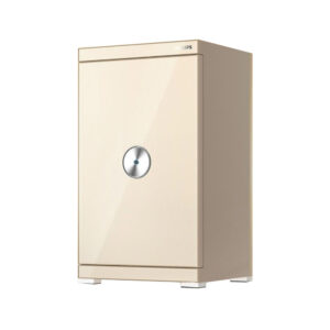 Két sắt Philips SBX602-7CU_113_KG - Màu:Vàng champagne, Xám